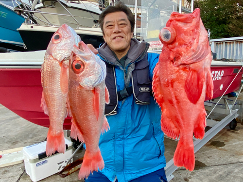 アコウダイの釣果