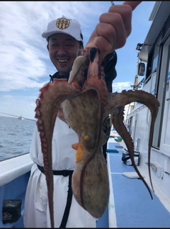 マダコの釣果
