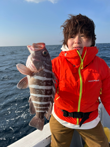 マハタの釣果