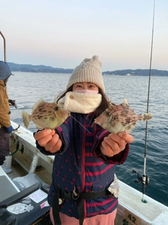 カワハギの釣果