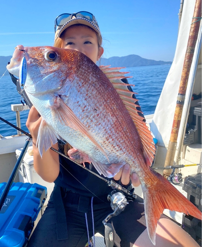 マダイの釣果