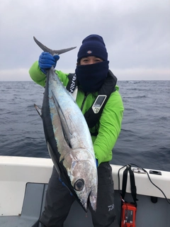 ビンチョウマグロの釣果