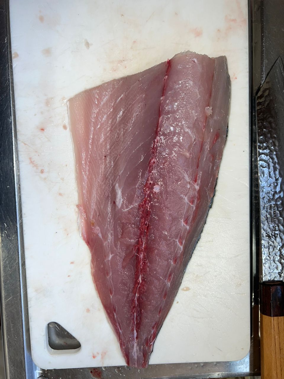 ゆったさんの釣果 2枚目の画像