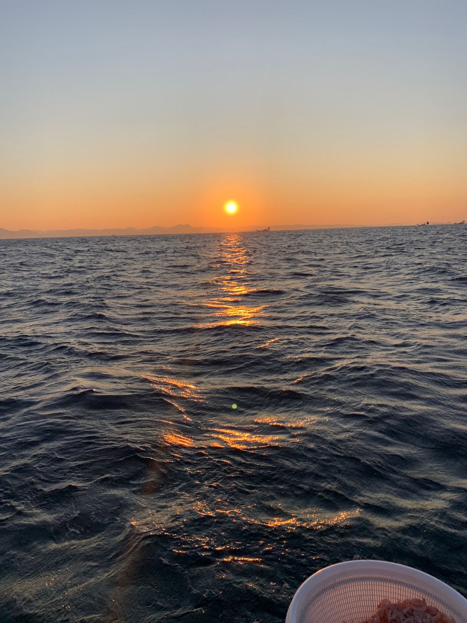 真鯛28号船さんの釣果 2枚目の画像