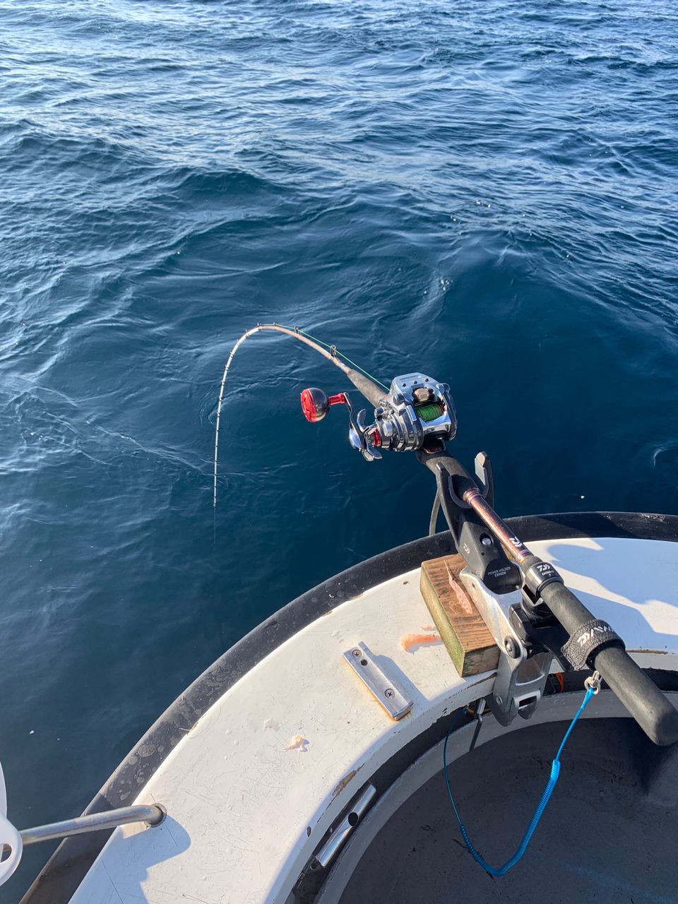 真鯛28号船さんの釣果 3枚目の画像