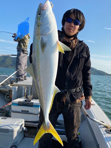 ハマチの釣果