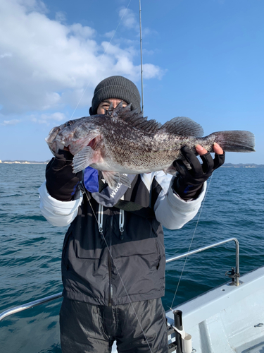 クロソイの釣果