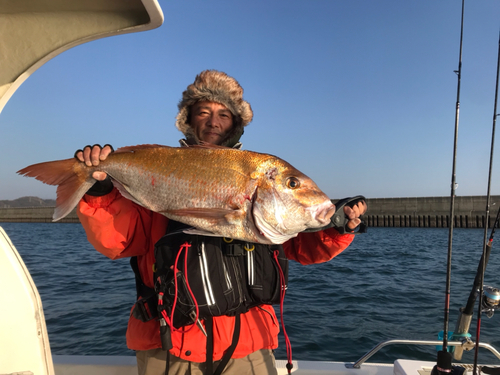 マダイの釣果