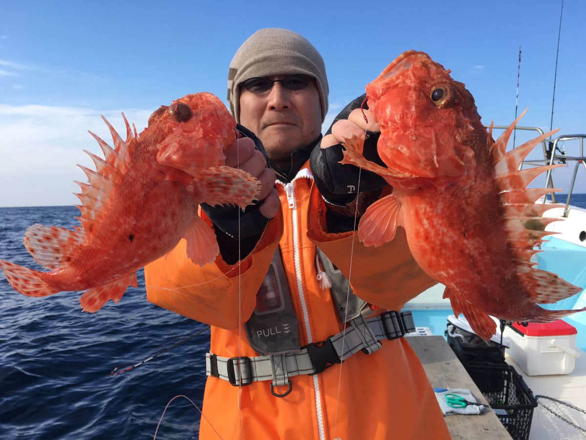 ヘッポコ船頭　大宝丸さんの釣果 2枚目の画像