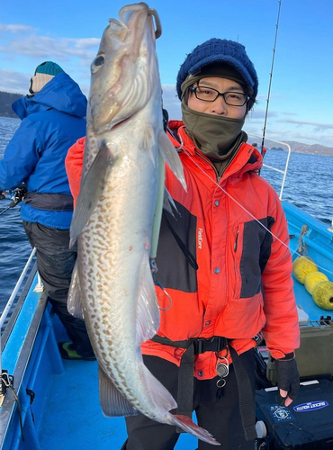 スケトウダラの釣果