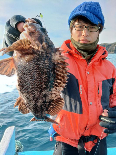 ムラソイの釣果