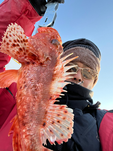 オニカサゴの釣果