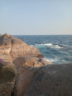 イシダイの釣果