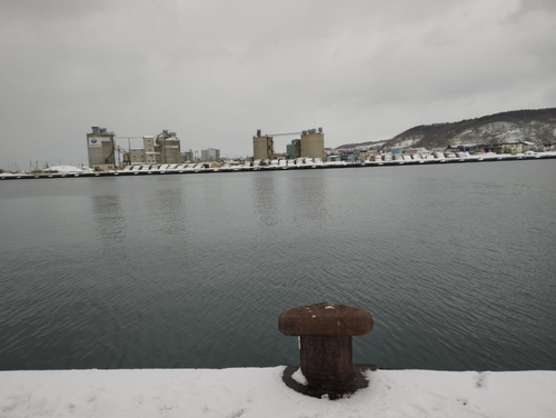 チカの釣果