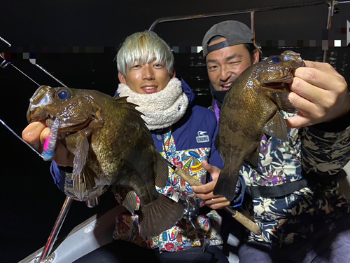 メバルの釣果