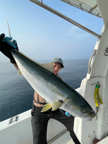 ハマチの釣果