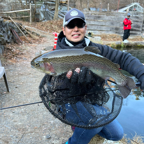 トラウトの釣果