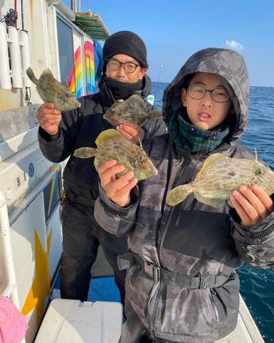 カワハギの釣果