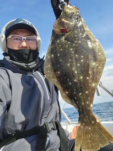 ヒラメの釣果