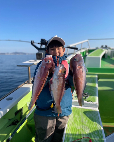 アマダイの釣果