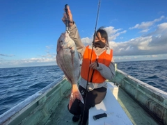 マダイの釣果