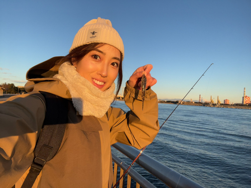 メゴチの釣果