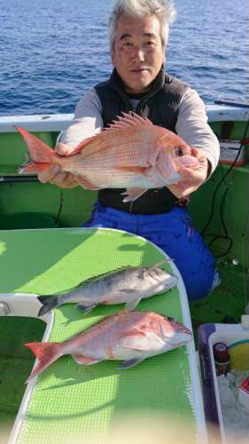 マダイの釣果