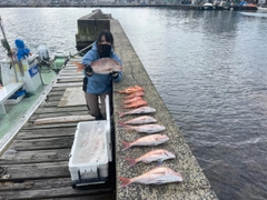 マダイの釣果