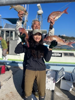 マダイの釣果