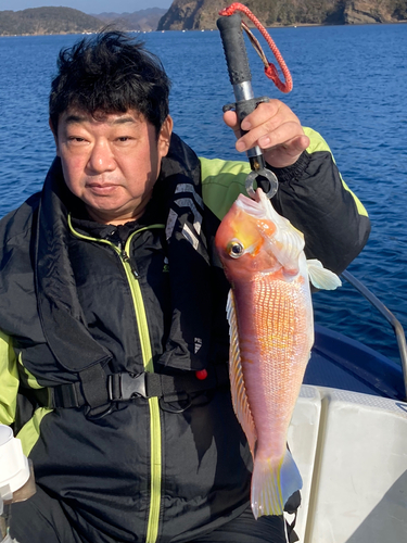 アマダイの釣果