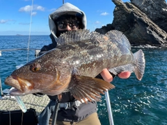 アイナメの釣果