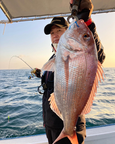 タイの釣果