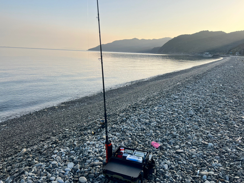 メジロの釣果