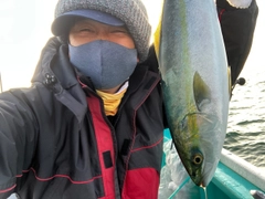 ハマチの釣果