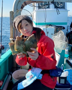 カワハギの釣果