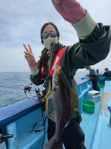 イサキの釣果