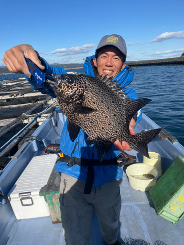 イシガキダイの釣果