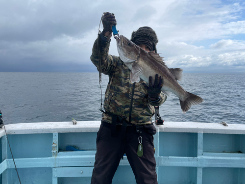 アラの釣果