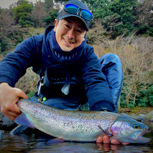 ニジマスの釣果