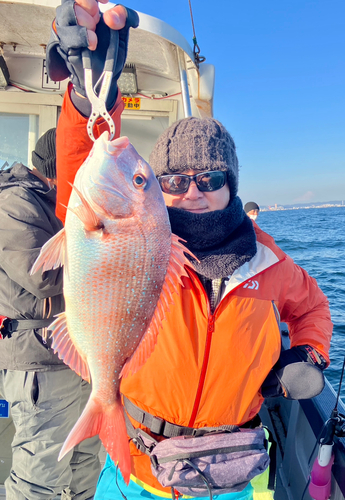 マダイの釣果