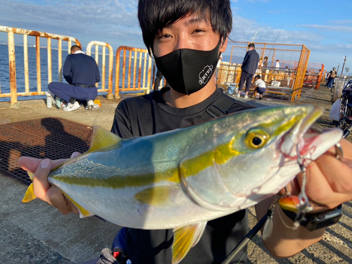 ツバスの釣果