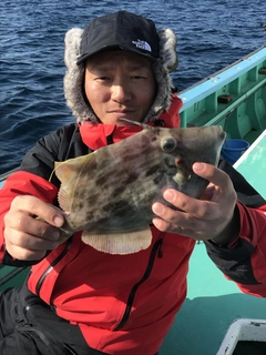 カワハギの釣果