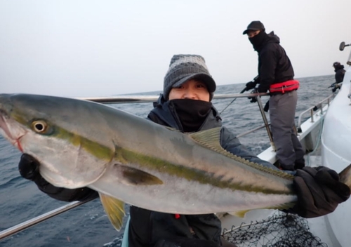 ブリの釣果