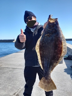 ヒラメの釣果