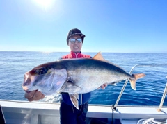 カンパチの釣果