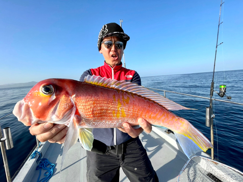 アマダイの釣果