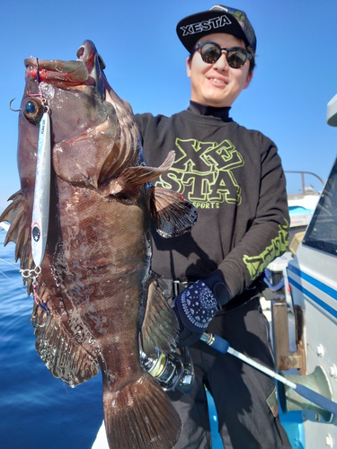 マハタモドキの釣果