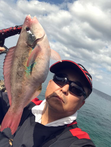 イラブチャーの釣果