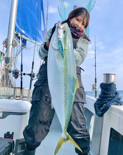 ブリの釣果