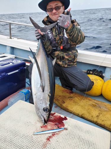 ビンチョウマグロの釣果